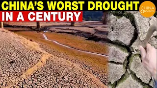 China’s Worst Drought in a Century | Yangtze River Basin Drought | 3 Gorges Dam | Food Crisis