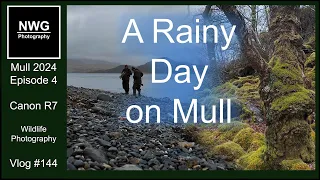 Mull 2024 Episode 3 - A Rainy Day On Mull - Wildlife Photography - Vlog 144