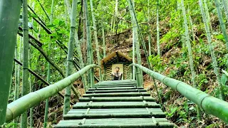 Craft construction - shelter in the bamboo forest, bamboo house in the forest