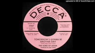 The Sons of Adam - Tomorrow's Gonna Be Another Day - 1966 Garage Rock - Produced by Gary Usher