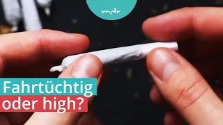 Cannabis-Legalisierung: Wie durchdacht ist der THC-Grenzwert? | Voss & Team | MDR