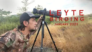 Leyte Birding 001