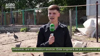 AGRO TV News – 03. 07. 2020