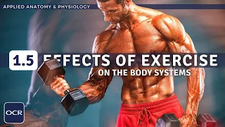 OCR GCSE PE - EFFECTS OF EXERCISE (Short Term & Long Term) - Applied Anatomy & Physiology (1.5)