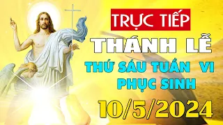 Thánh lễ trực tuyến hôm nay 4:00:AM Thứ Sáu ngày 10/5/2024 - Trực tiếp Thánh lễ hôm nay | TLTT