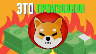 #SHIBA INU БОЛЬШОЕ ОБЪЯВЛЕНИЕ! ЧТО СТОИТ ОЖИДАТЬ? НОВЫЕ ЛИСТИНГИ И СВЕЖИЕ НОВОСТИ