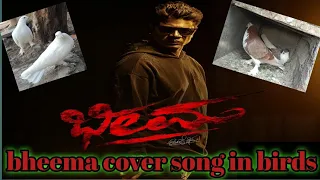 l love you kane cover song|bheema| bird cover song #bheema #lloveyoukane #vijaykumar #duniyavijay