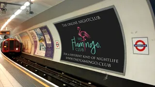 TheFlamingo.Club