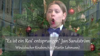 "Es ist ein Ros' entsprungen" Jan Sandström | Windsbacher Knabenchor (Martin Lehmann)