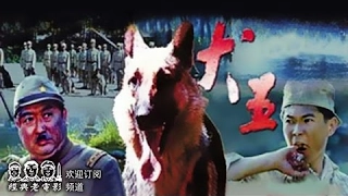 抗日电影 【犬王】 1993年 中国经典怀旧电影 Chinese classical movie