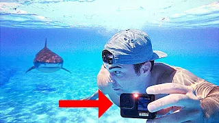 Shark vs. GoPro