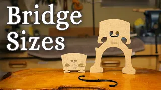 Stringed Instruments Bridge Size Comparison