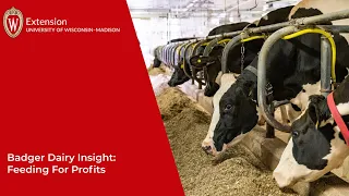 Badger Dairy Insight: Feeding for Profit Nutrient Digestibility and Milk Components