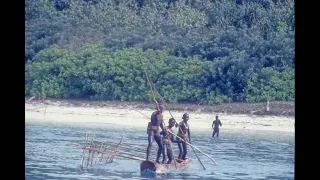 North Sentinel Island / What is hidden on the island?