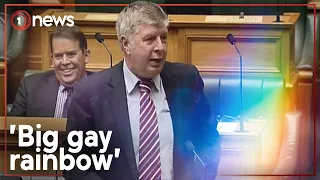 Maurice Williamson's viral 'big gay rainbow' speech | 1News