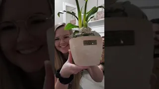 Unboxing Plants Together 📦 🌱💕