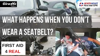 What Can Happen When You Don't Wear A Seatbelt - How to Perform CPR, Brampton First Aid CPR Courses