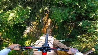 GoPro Awards: Insane MTB Tree Drop