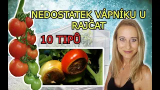 PĚSTOVÁNÍ RAJČAT: CHOROBY RAJČAT | NEDOSTEK VÁPNÍKU U RAJČAT | 10 TIPŮ JAK CHOROBĚ PŘEDCHÁZET