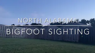 A No￼rth Alabama Bigfoot Sighting