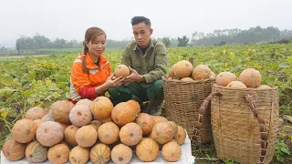 Together with my girlfriend, I harvested pumpkins and brought them to the market to sell Ep 152