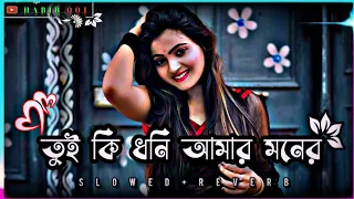 তুই কি ধনি আমার মনের রানি ও গো হবি | (Slowed+Reverb) Bangla Lo-fi Song #_HABIB__001_#banglasong