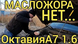 SkodaOctavia A7 1.6 - МАСЛО БОЛЬШЕ НЕ ЖРЕТ!!! Скрип пыльников амортизаторов