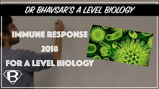 Immune response 2018 for A level bio