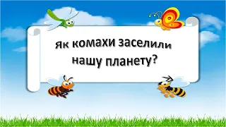 Урок 62.  "Як комахи заселили нашу планету?" Я досліджую світ 3 клас