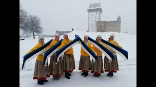 "Kullakera kandjad", "Eesti muld ja Eesti süda" 24.02.2021.