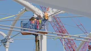 Carrier Dome Update - Roof Panel Steel