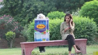 Mask Man in BOX Pranks in Pakistan - | URDU / HINDI | - By Pranks Pranks