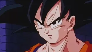 Goku afferma di aver già visto Spopowitch combattere una volta ITA