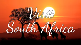 Exploring South Africa: Your Ultimate 4k Travel Guide