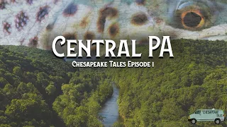 Chasing Colorful Fish and Big Bugs in Central PA | Chesapeake Tales Episode I