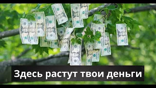 Стань частью нашего VIP - сообщества