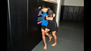 MMA Cage Wall Training - Dominating Strikes from the Clinch with Rene Dreifuss