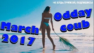 Odday coub новое | весна 2017 | лучшие приколы ютуб | best coub new | Funny vine | 2017