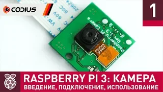 Raspberry Pi 3: Камера (#1) – введение, подключение, базовые утилиты, TimeLapse, библиотека PiCamera