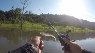 INSANE Topwater Bass Fishing at Hazelmere Dam, South Africa.