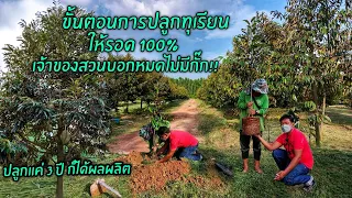 ขั้นตอนการปลูกทุเรียนให้รอด 100% ปลูกแค่ 3 ปี ก็ได้ผลผลิต!! "สวนพลอยสุวรรณพันธุ์ไม้" จ.ปราจีนบุรี