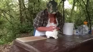 How to butcher a rabbit 1of 3