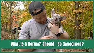 What Is A Hernia? Should I Be Concerned About A Hernia