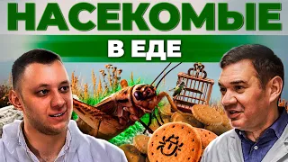 Самый редкий бизнес в России. Сверчковая ферма в России. Бизнес на насекомых. Андрей Даниленко