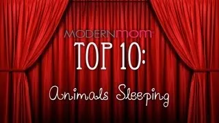 Sleepy Animals - ModernMom Top 10