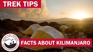 Kilimanjaro Basic Facts & Information - Enjoy Your Climb! | Trek Tips