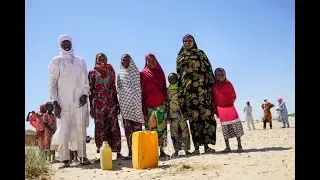 Lake Chad Basin crisis: Chad