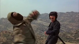 Sho Kosugi's #7, " Sword Techniques, Hand Techniques & Kick Techniques" in his Movies & TVs