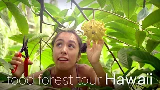 Tour of our Permaculture Food Forest Orchard 2019 🌳