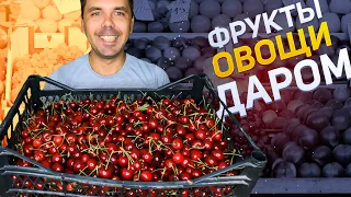 Оптовый рынок Славянск-на-Кубани, где купить овощи и фрукты недорого?